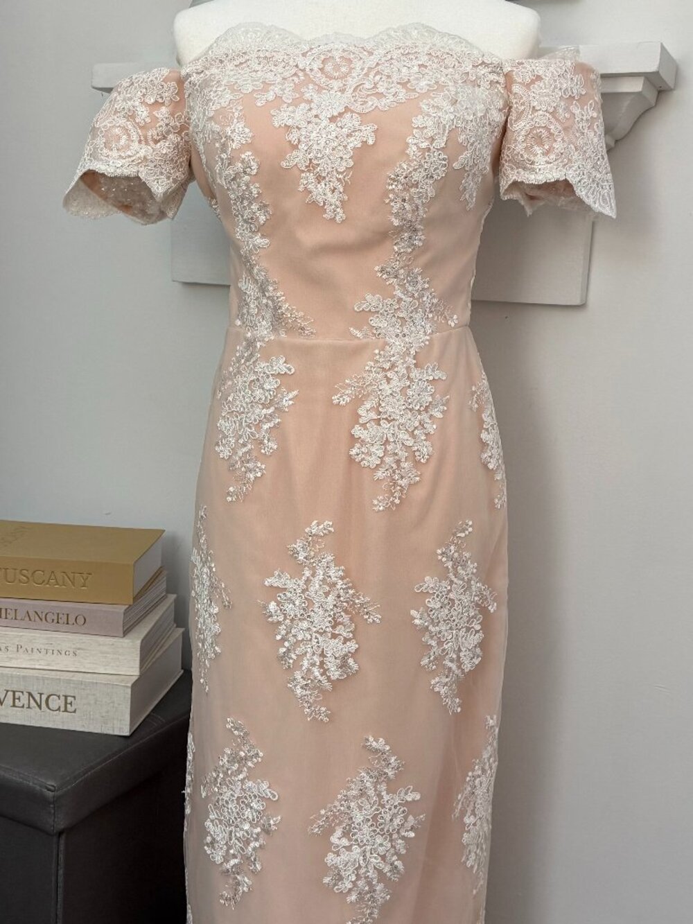 Blush Lace Appliqué Off Shoulder Formal Midi Dress Size 6 NEW